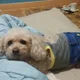 아이콘