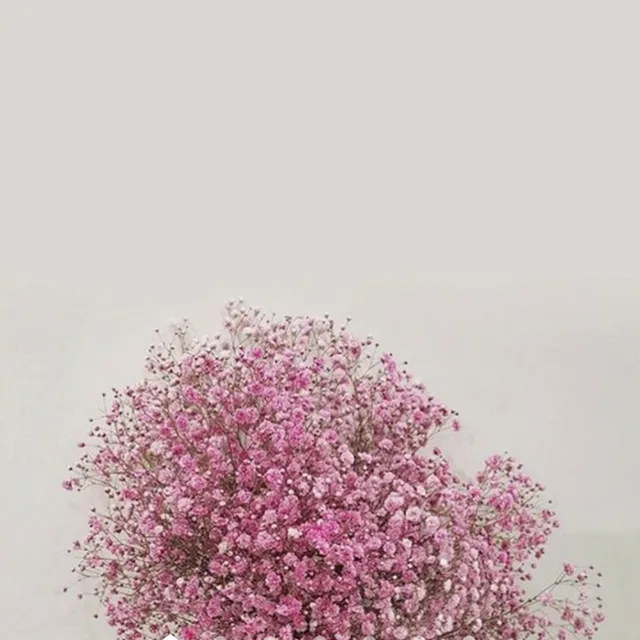 유니