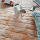 매덩이5721