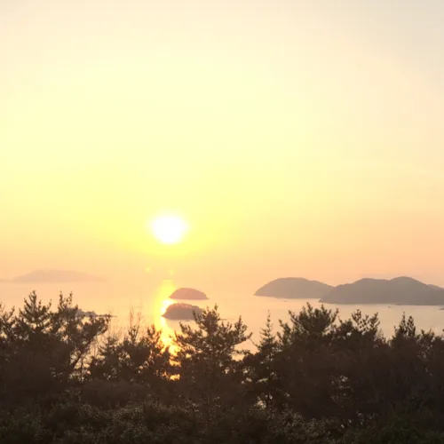당근이용용