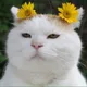 할배랑쁘니