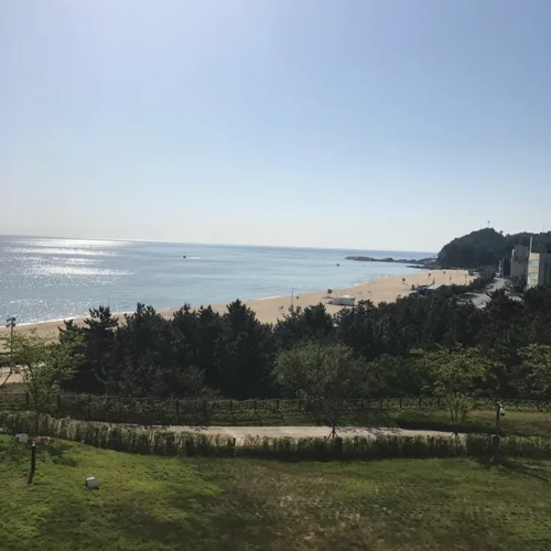 경쓰