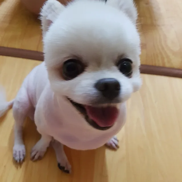 기비V송천동