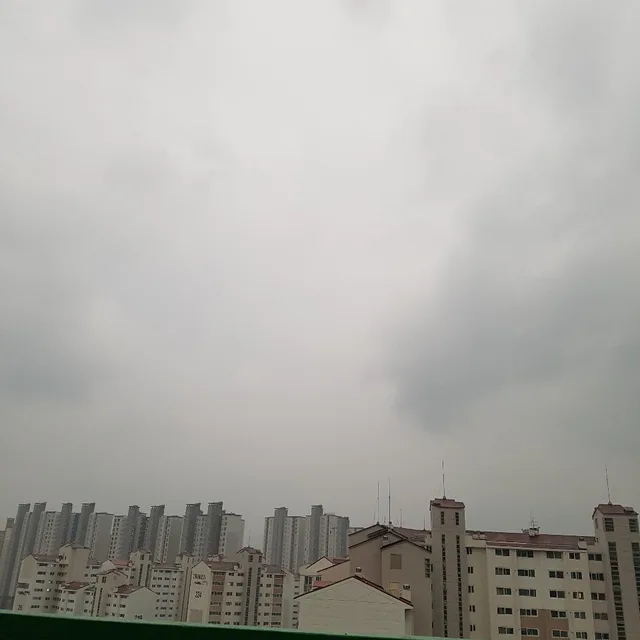 사과
