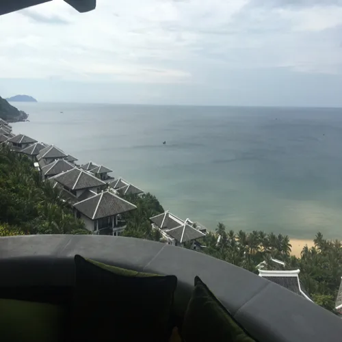 댕댕이