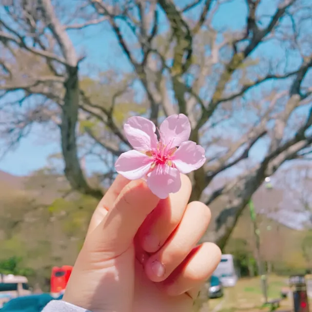 보리누리
