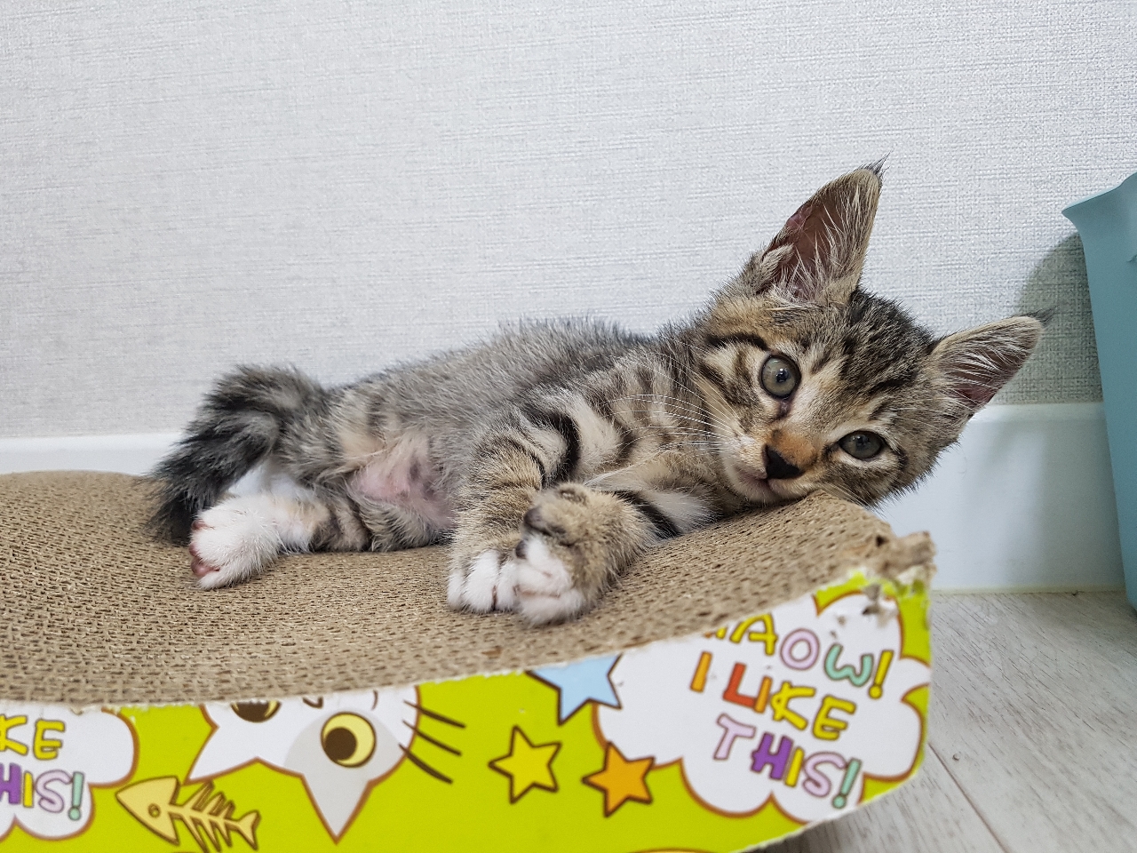 너라면괜찮아