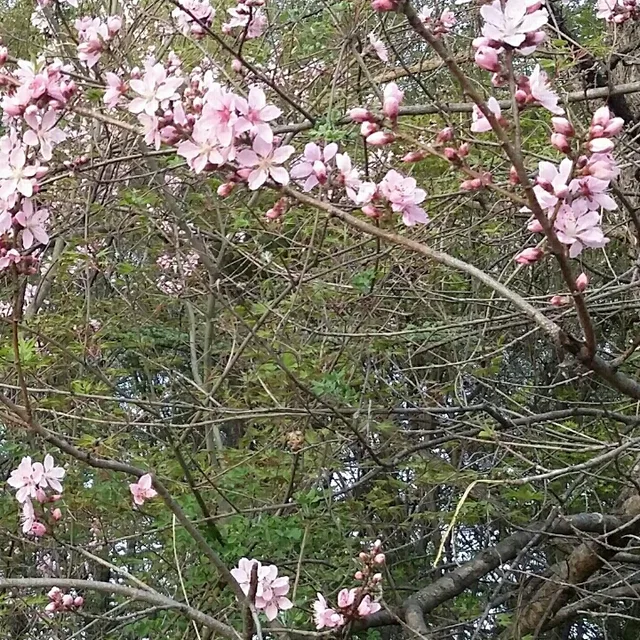 푸른바다