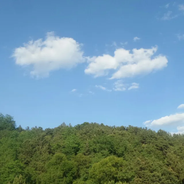햇살