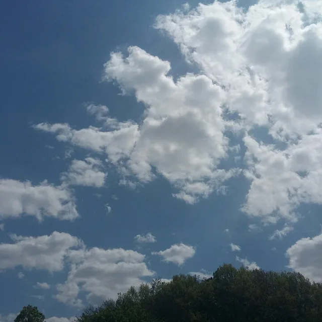 바람