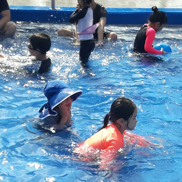 덕후바라기