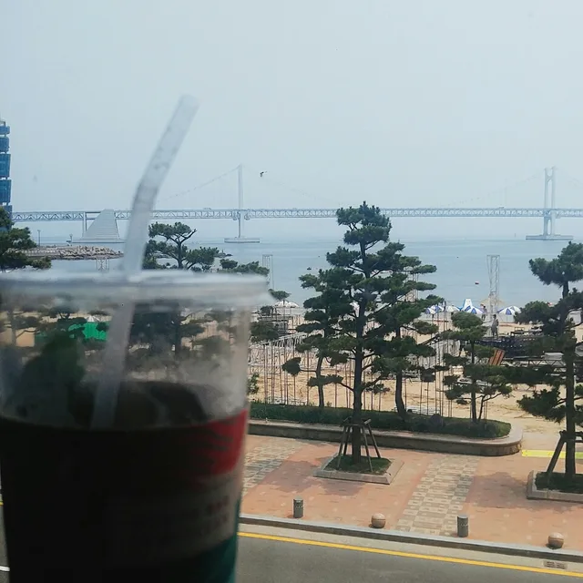 달그림자