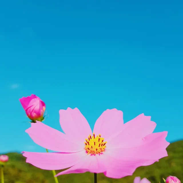 아아