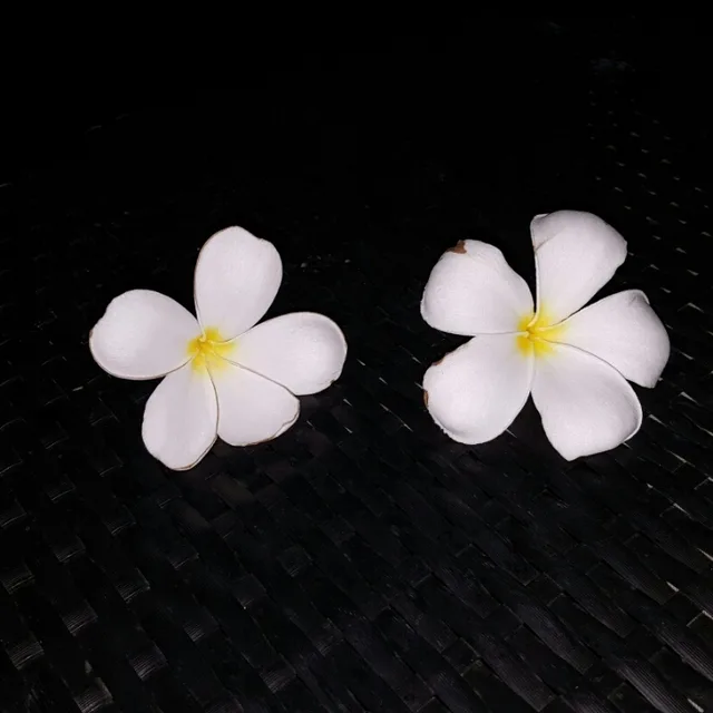 se