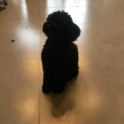 profile