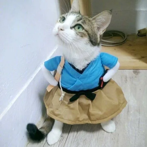 쿠쿠루쿠