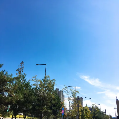 닭섬