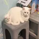 준소소