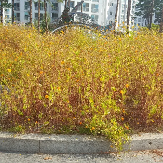 구구