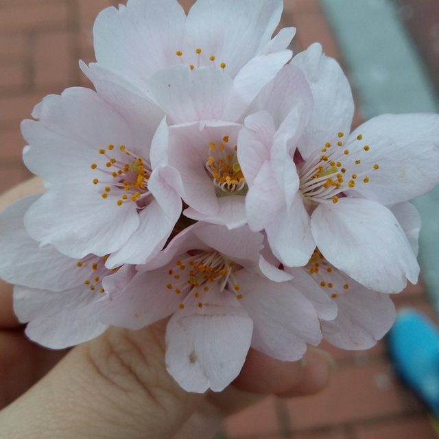 똥글땡글