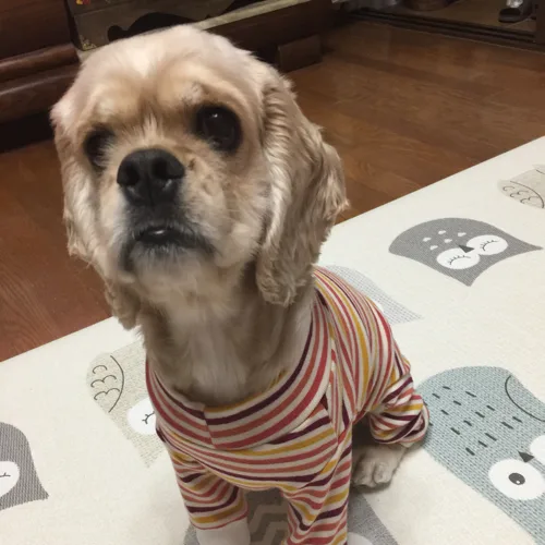 달콤