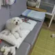 몽드