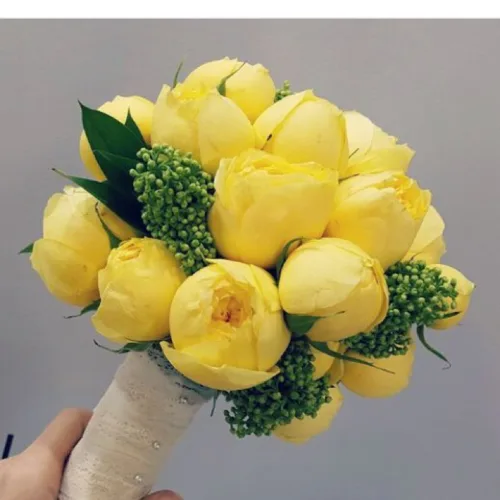 호롤롤로