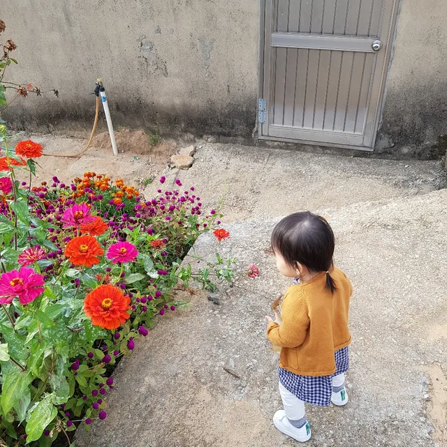 짜잔누나