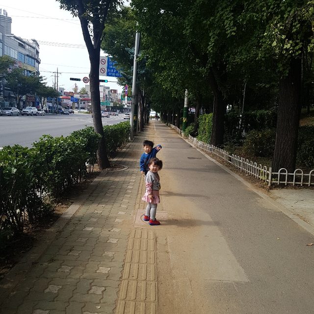 쎄쎄엄마