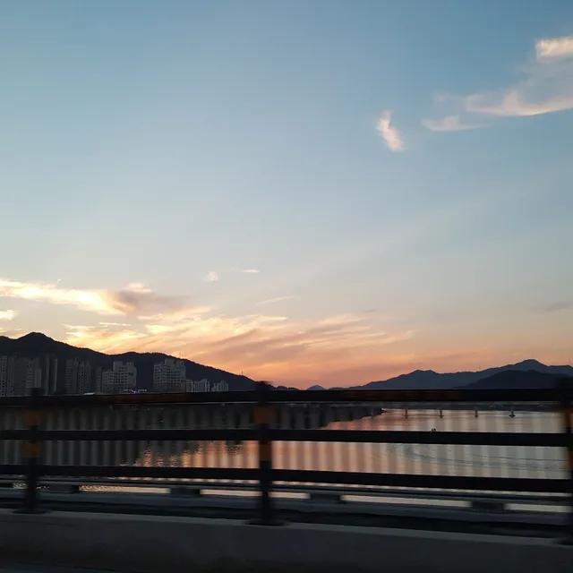 잿빛사랑