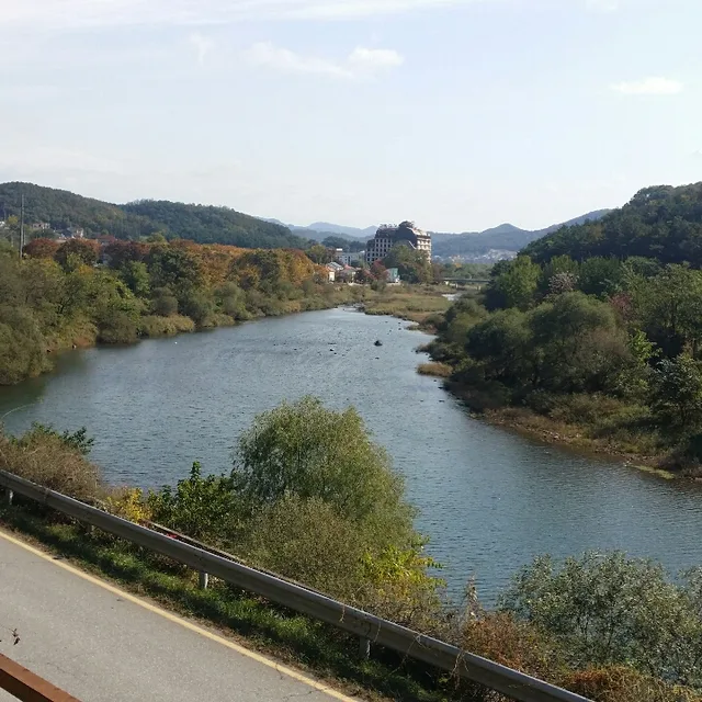 버디버디