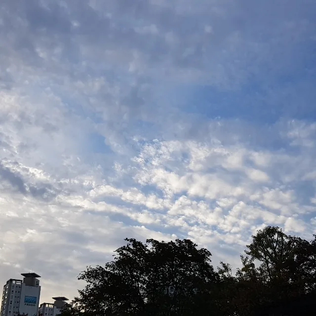 태양