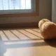 오라방
