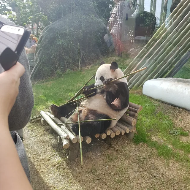 봉봉바