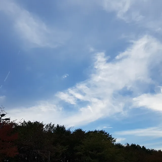 달려라막둥