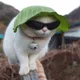 때가쏙비트
