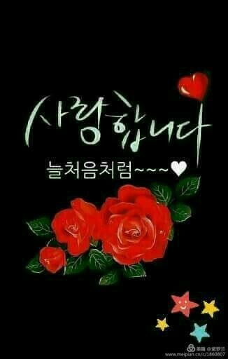 엔젤49