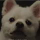 앗차