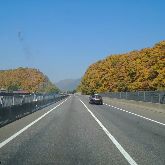 앗싸가오리