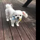 슈맘