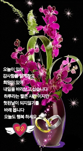 사루비아