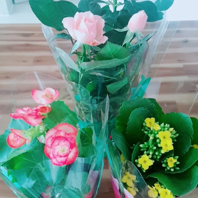 메리