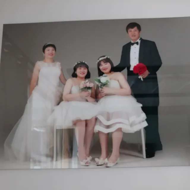 재서바라기