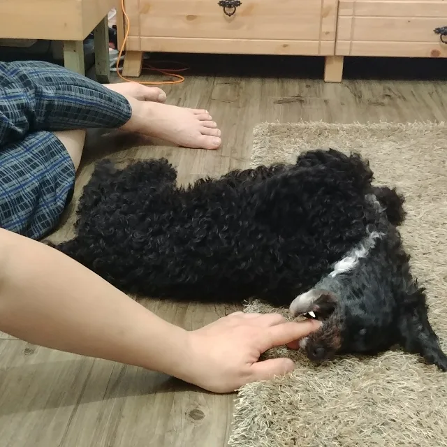 방울이네