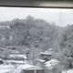 뚱이