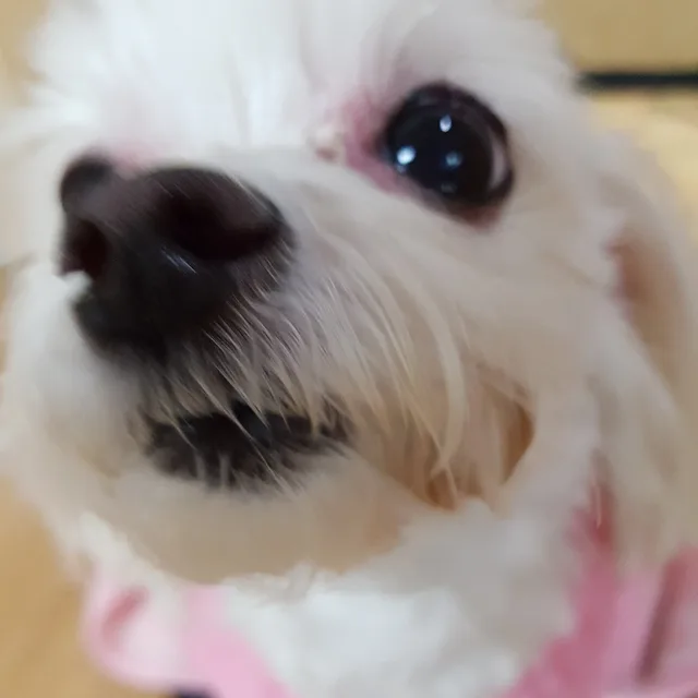 냠냠