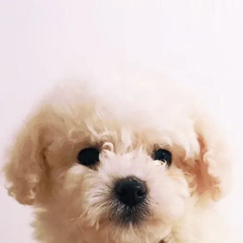 옷장정리뀨