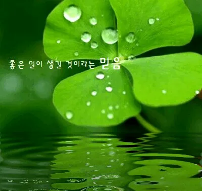행복드림