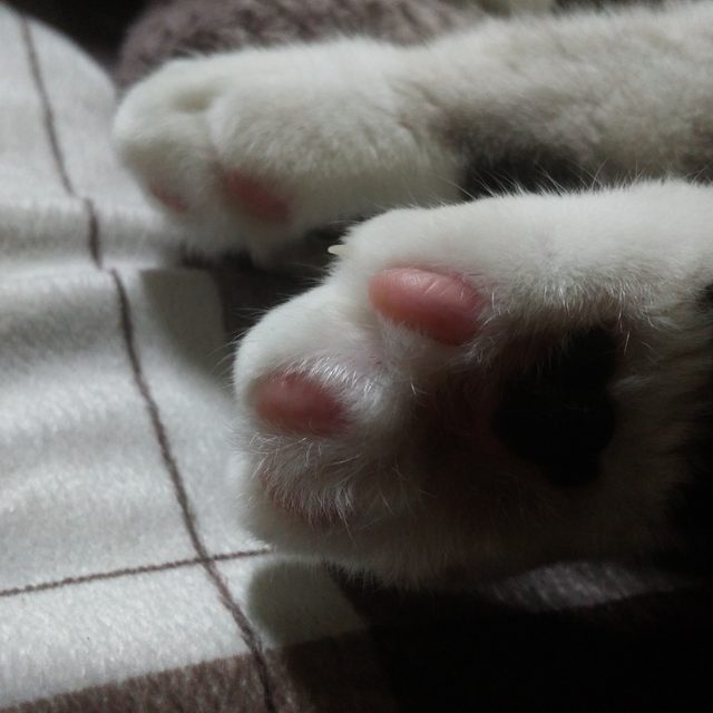 까칠한리버