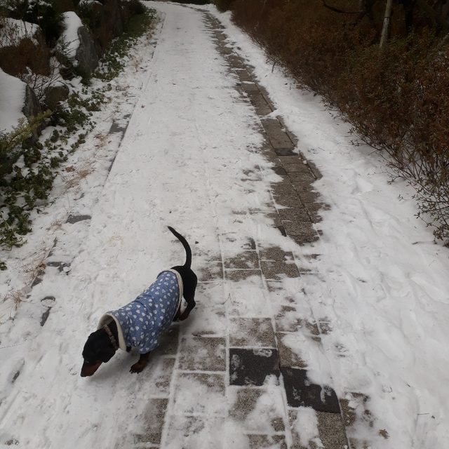 마음부자